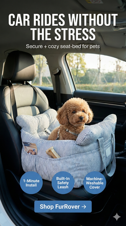 Orthopedic Calming Anxiety Relief Bed