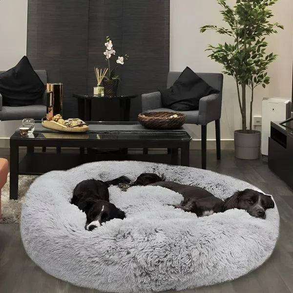 Orthopedic Calming Anxiety Relief Bed